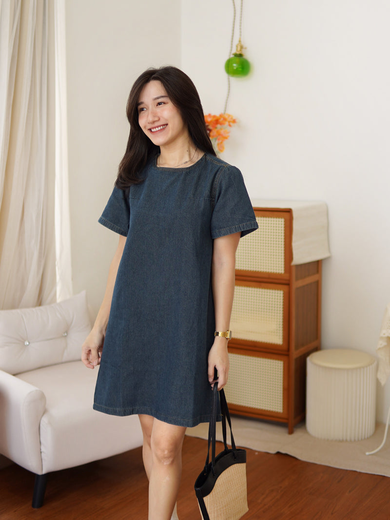 Denim A-line Mini Shirt Dress