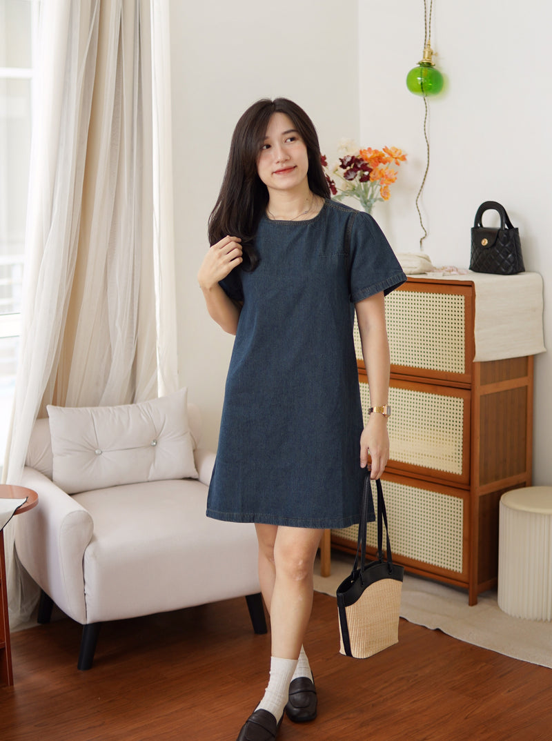 Denim A-line Mini Shirt Dress