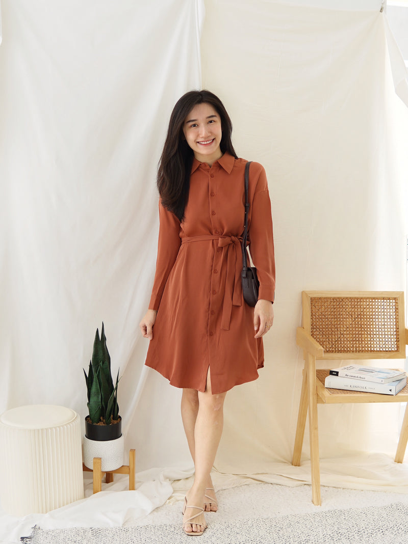 Dorian Chiffon Collar Dress